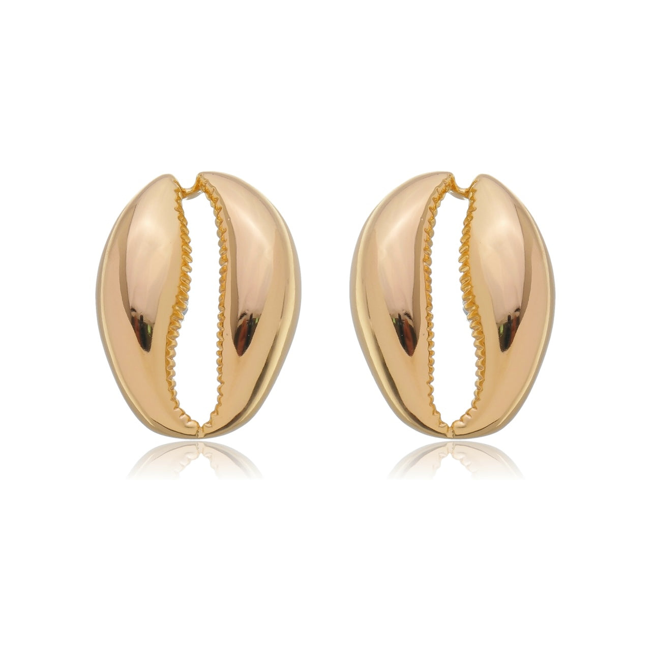 Everyday Cowrie Shells Stud Earrings