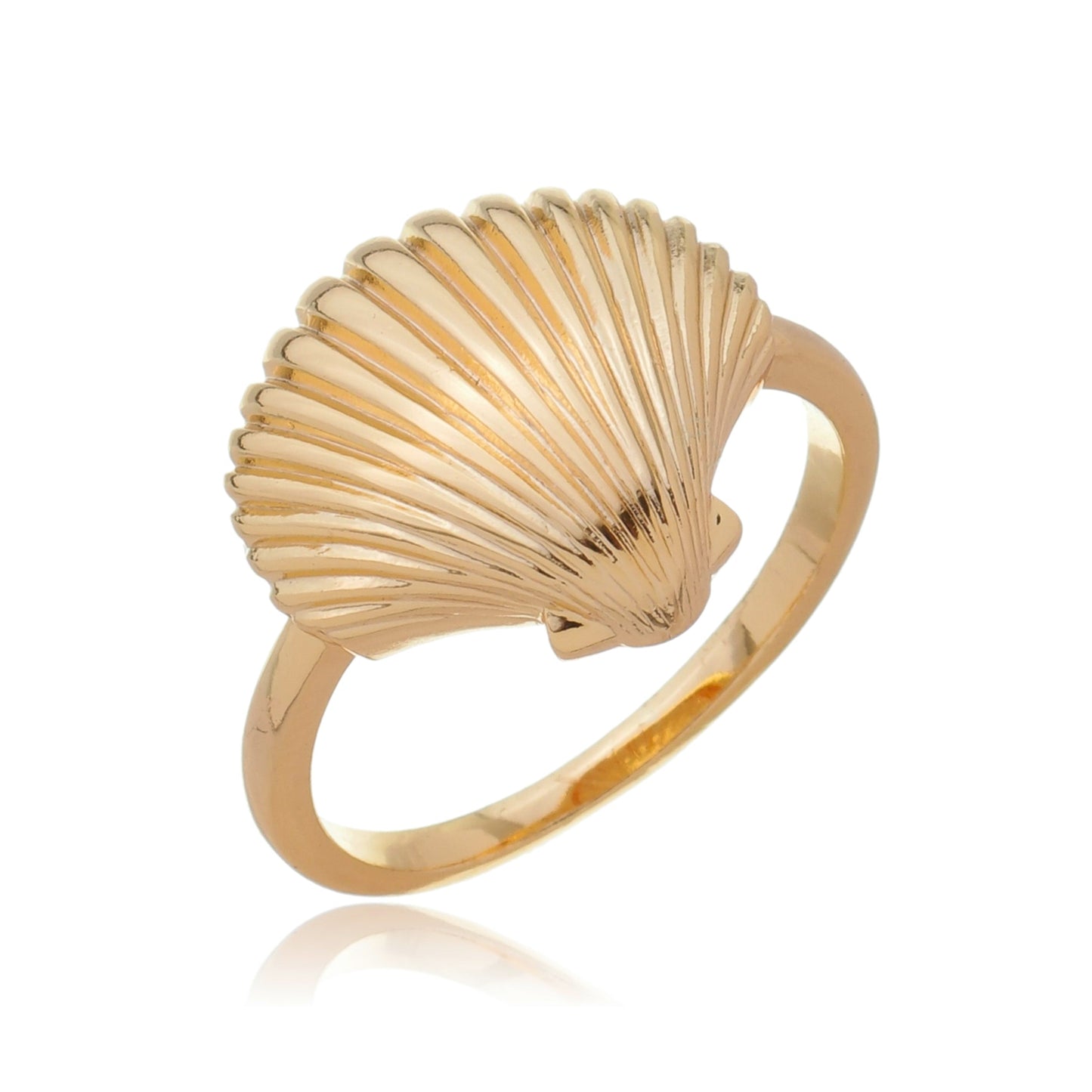 Shell Ring