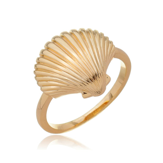 Shell Ring