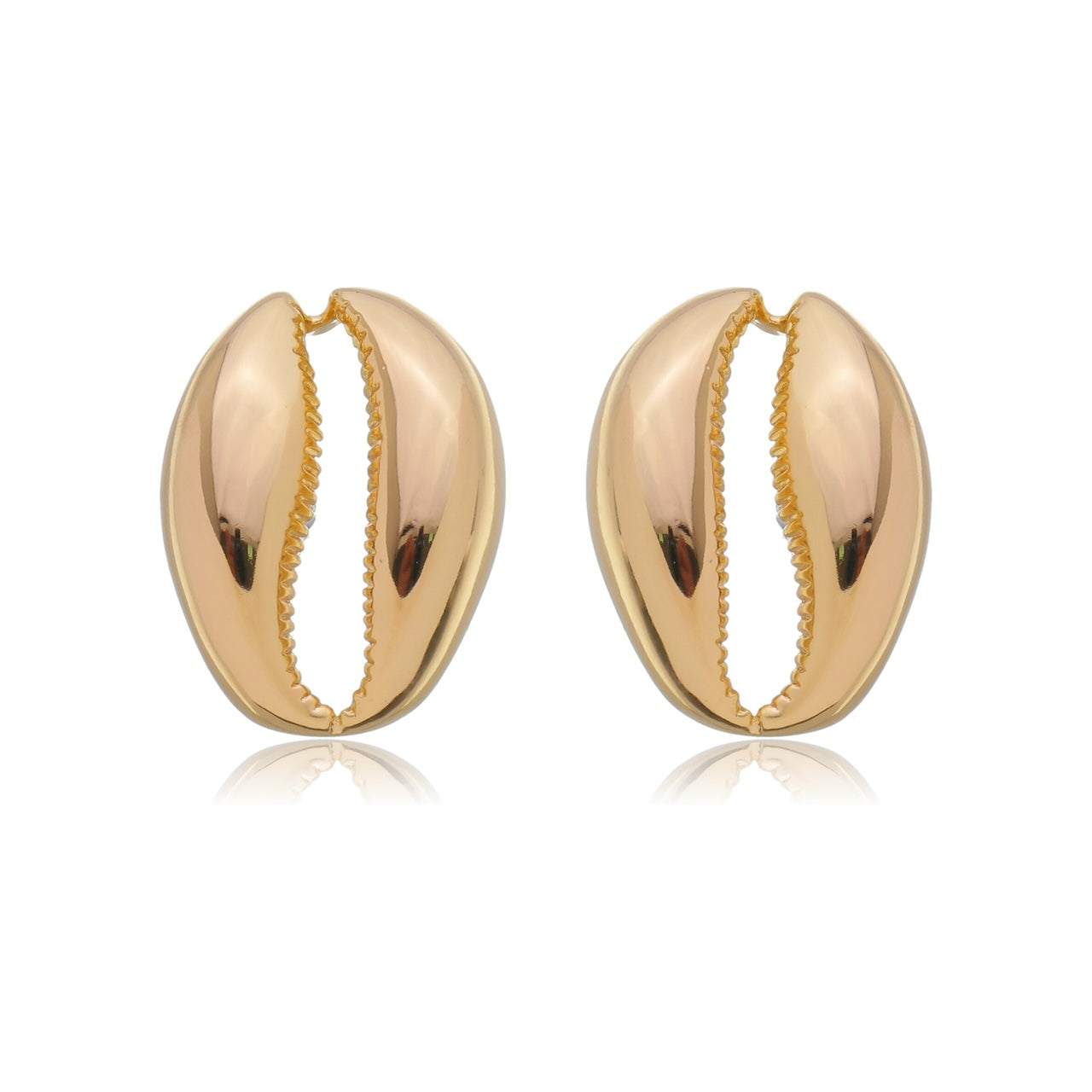 Everyday Cowrie Shells Stud Earrings