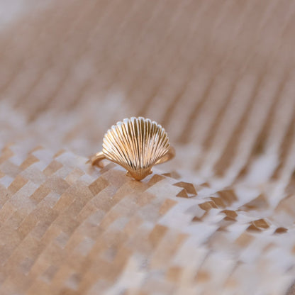 Shell Ring