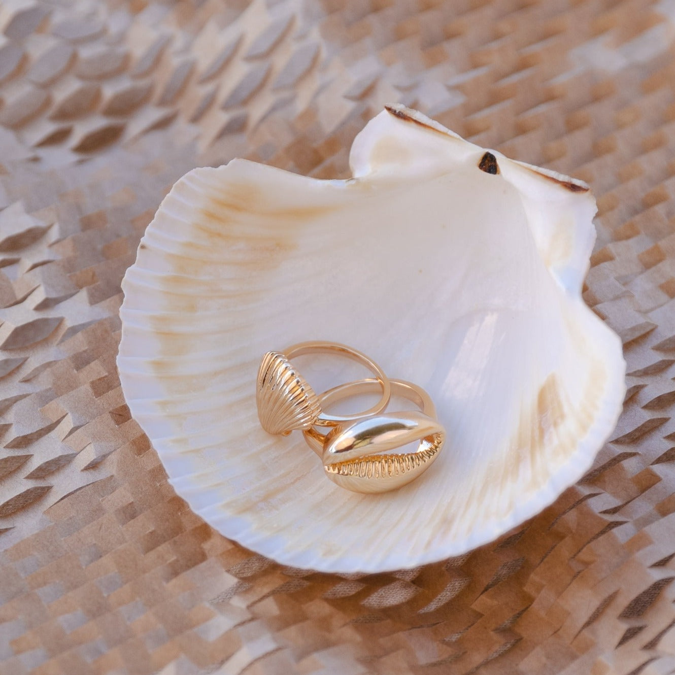 Shell Ring