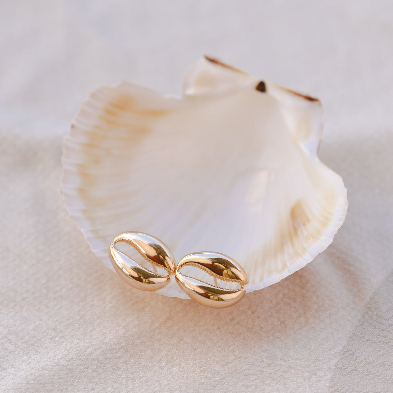 Everyday Cowrie Shells Stud Earrings