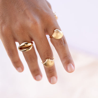 Shell Ring