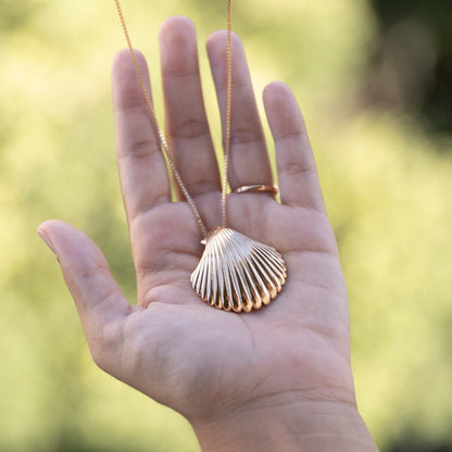 Long Shell Necklace